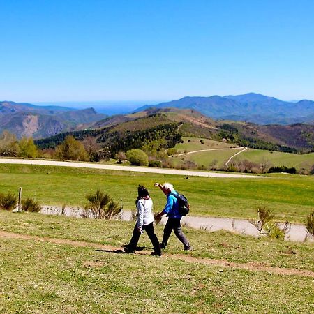 Naturaleza Y Aire Puro En El Pirineo Oriental En Una Bonita Casa Rural De Piedra Prats-de-Mollo-la-Preste Exterior foto