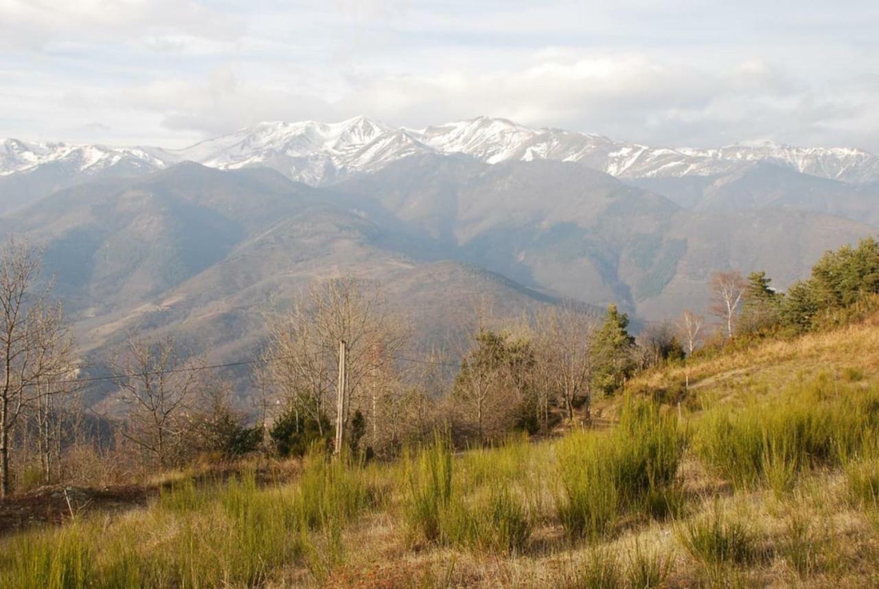 Naturaleza Y Aire Puro En El Pirineo Oriental En Una Bonita Casa Rural De Piedra Prats-de-Mollo-la-Preste Exterior foto